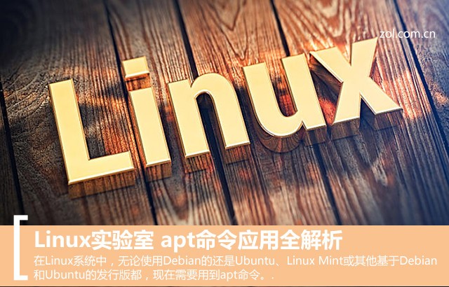 Linux apt命令应用全解析－解决网 